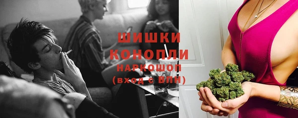 ПСИЛОЦИБИНОВЫЕ ГРИБЫ Белокуриха