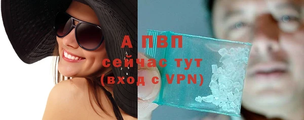 ПСИЛОЦИБИНОВЫЕ ГРИБЫ Белокуриха