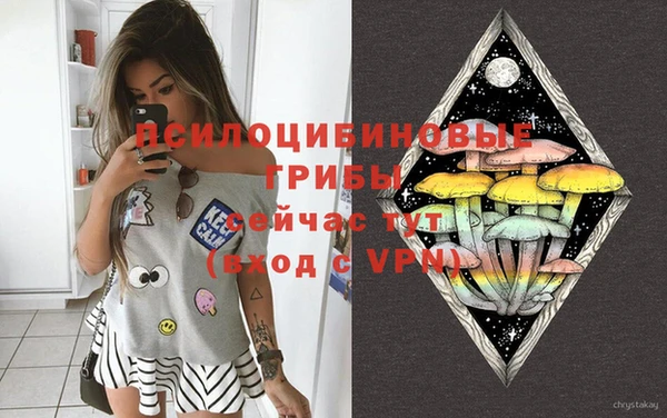 ПСИЛОЦИБИНОВЫЕ ГРИБЫ Белокуриха