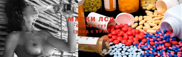 гидропоника Богородицк